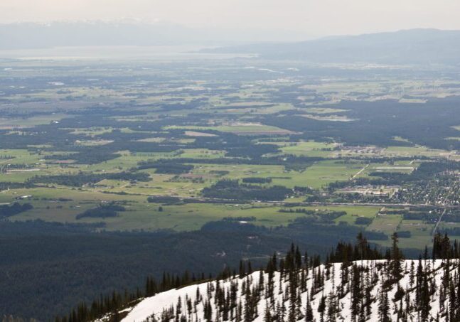 Scenic landscape with snow and greenery